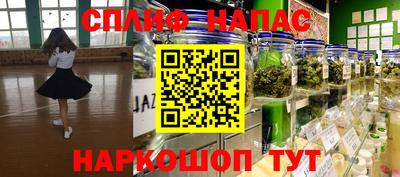 спиды Братск
